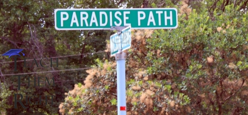 IMG_4402a_Paradise Path